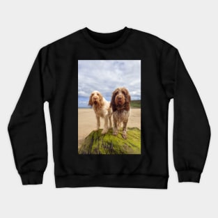 On a Rock at the beach Spinoni Crewneck Sweatshirt